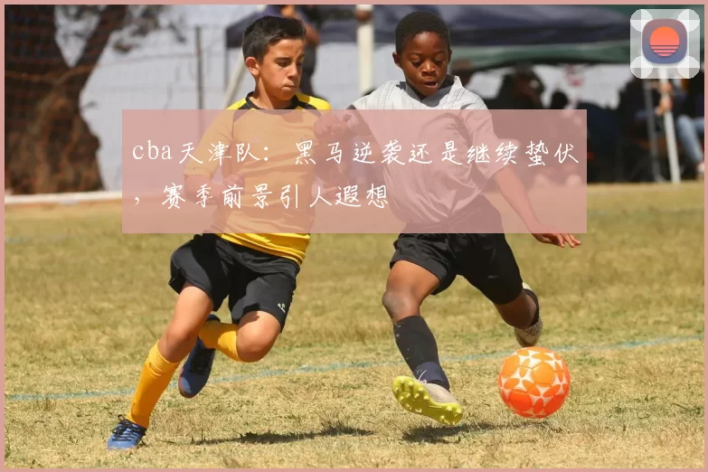 cba天津队：黑马逆袭还是继续蛰伏，赛季前景引人遐想