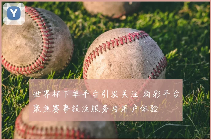 世界杯下单平台引发关注 购彩平台聚焦赛事投注服务与用户体验