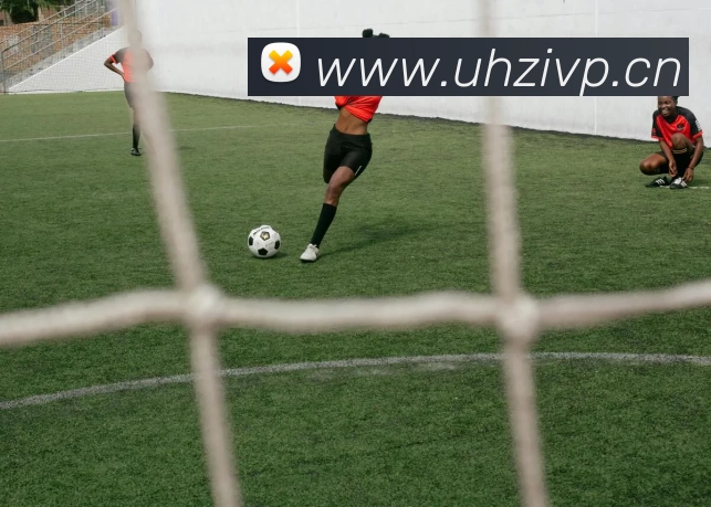 数据防护可视化